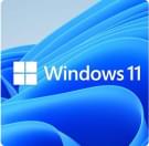 win11